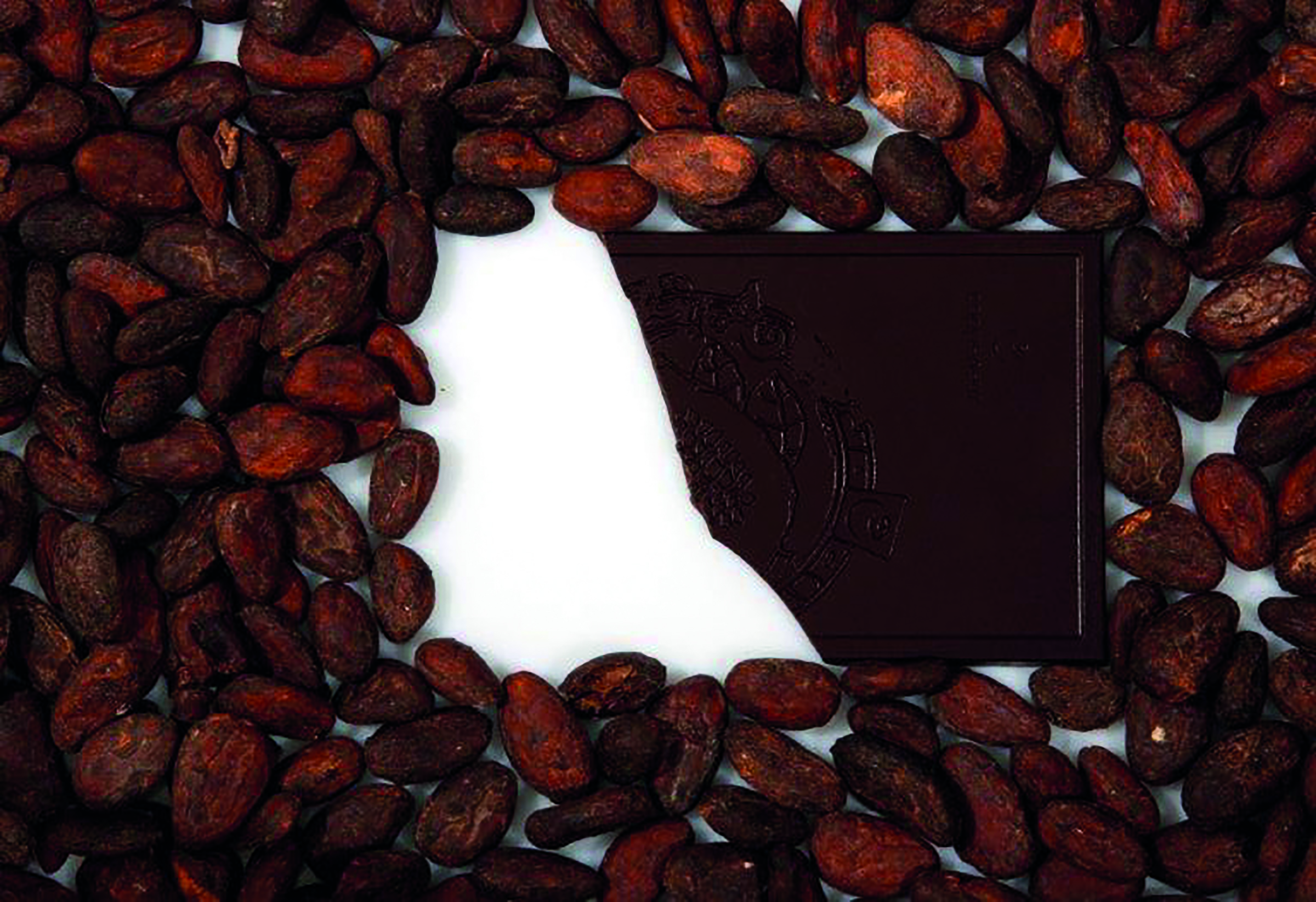 Pure Cacao